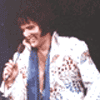 Elvis 09